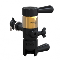 PEGAS Evolution Gold в Казани